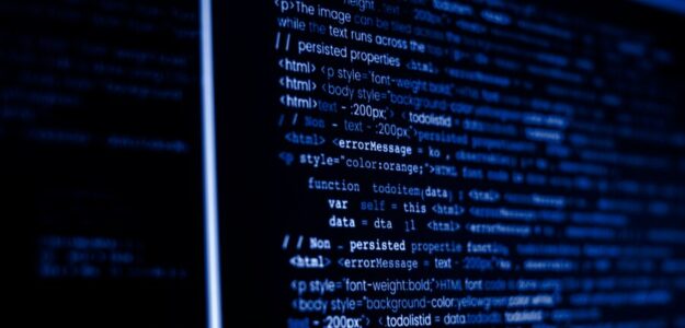 Web Developer